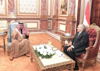 السفير السعودي يلتقي رئيس مجلس الشيوخ المصري