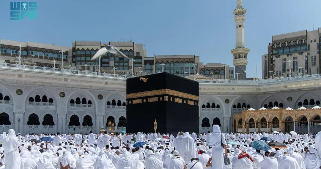 12 ليلا.. إيقاف حساب الشركات بموقع وزارة السياحة عقب إنتهاء عقود سكن الحجاج