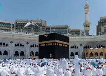 12 ليلا.. إيقاف حساب الشركات بموقع وزارة السياحة عقب إنتهاء عقود سكن الحجاج