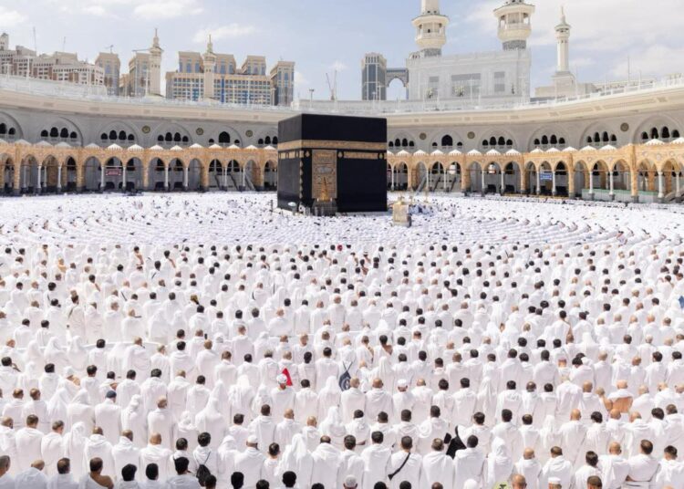 خدمات متكاملة لضيوف الرحمن بالحرمين الشريفين على مدار الساعة 