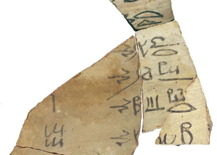 اكتشاف 13 ألف أوستراكا جديدة بموقع أتريبس الأثري بمحافظة سوهاج