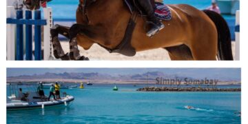 مصر ترعى بطولتي كأس العالم للسباحة بالمياه المفتوحة وكأس مصر للفروسية بسوما باي